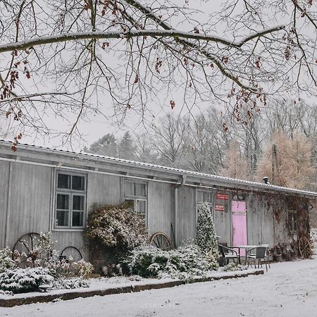 Ferienwohnung Lesniki Babimost Exterior foto
